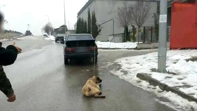 Sahibinden Kopege Iskence Arabaya Baglayip Ankara