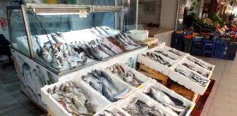Marmaris Kıyılarında Balon Balığı Tehlikesi