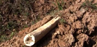Gelibolu Yarımadası'nda Yağmur Şehit Kemiklerini Ortaya Çıkardı