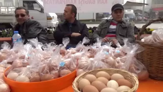 Kan Bağışlayana 'Cins Tavuk Yumurtası' Hediye Kan Bağışlayana 'Cins Tavuk Yumurtası' Hediye