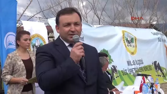 Milas'ın En Güzel Buzağısı Seçildi