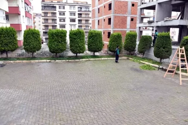 Aliağa'da Ağaçlar Budanıyor Aliağa'da Ağaçlar Budanıyor