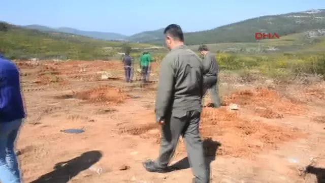 Ankara'da Ölen Fidanlar Anısına Bodrum'da Akıllı Orman