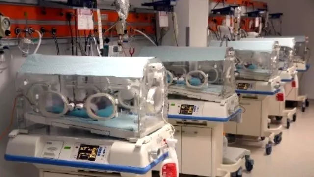 Bursalı Beşizler 1 Aylık Oldu Bursalı Beşizler 1 Aylık Oldu