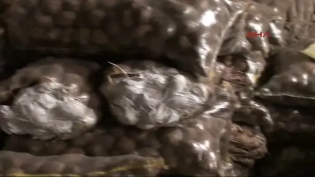 Niğde Geçen Yıl 5 Liraya Kadar Çıkan Patates, Bugün Depoda 20 Kuruş Niğde Geçen Yıl 5 Liraya Kadar Çıkan Patates, Bugün Depoda 20 Kuruş