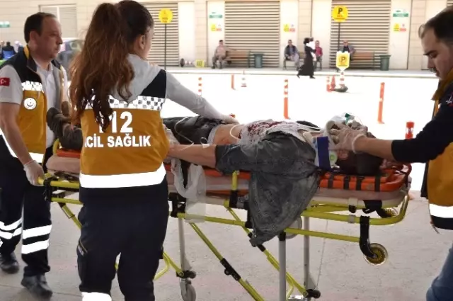 Köpeğe Çarpan Araçta Can Pazarı