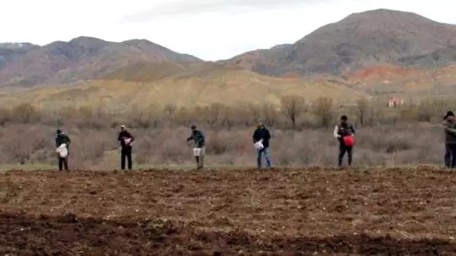 Doğaseverler, Aç Kalan Kuşlar İçin 25 Dönüme Arpa Ekti Doğaseverler, Aç Kalan Kuşlar İçin 25 Dönüme Arpa Ekti