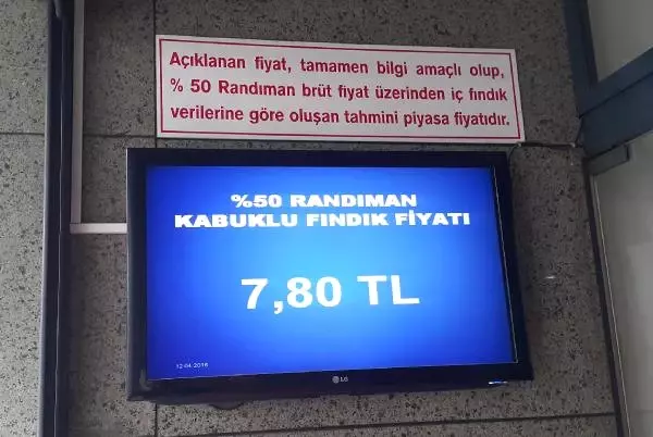 Fındıkta Fiyat Düştü, Üretici Zararda