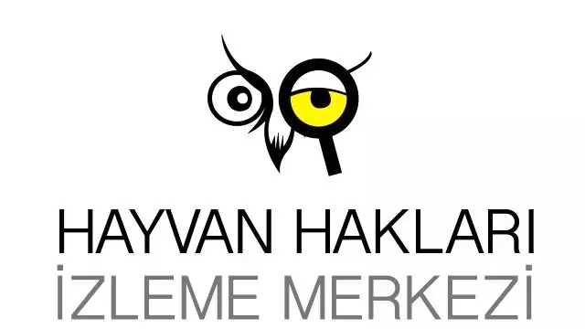 Hayvan hakları ihlalleri raporu açıklandı