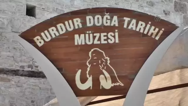 2,5 Milyon Yıllık Fosiller Ziyaretçilerini Bekliyor 2,5 Milyon Yıllık Fosiller Ziyaretçilerini Bekliyor
