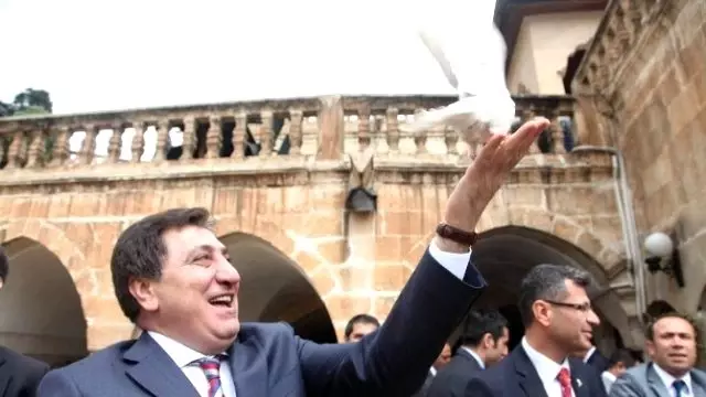 Şanlıurfa'da En Güzel Güverci Yarışması Şanlıurfa'da En Güzel Güverci Yarışması