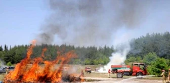 Bursa'da Orman Yangını Tatbikatı