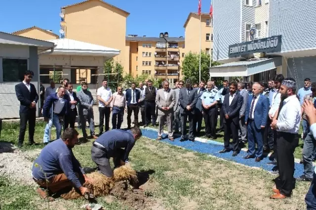 Gençler Huzur İçin Kurban Kesti