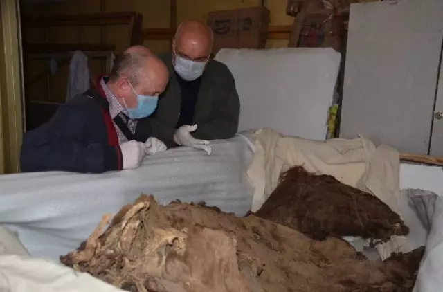 Atlı Kadın Arkeolojik Buluntuları Araştırma Projesi'ni Türk Uzmanlar İnceleyecek Atlı Kadın Arkeolojik Buluntuları Araştırma Projesi'ni Türk Uzmanlar İnceleyecek