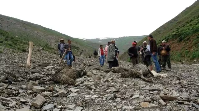 Yüksekova'da Sele Kapılan 800 Koyun Telef Oldu