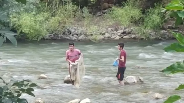 Habur Çayı Gençlere Ekmek Kapısı Oldu Habur Çayı Gençlere Ekmek Kapısı Oldu