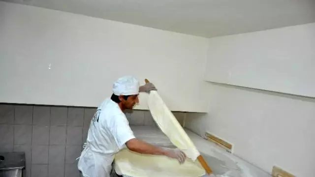 Disi Kedi Kisirlastirma Ameliyati Nasil Olur Hayvanlar Net