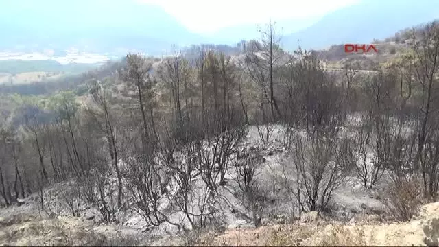 Adrasan'daki Orman Yangını Kontrol Altında Adrasan'daki Orman Yangını Kontrol Altında