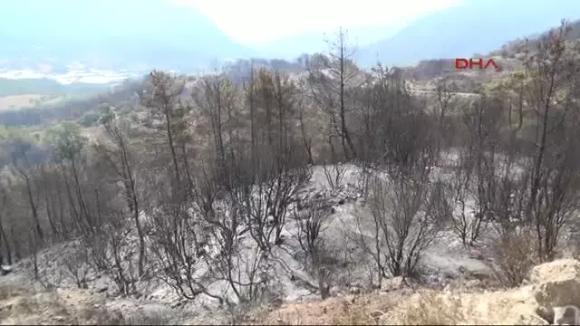 Adrasan'daki Orman Yangını Kontrol Altında Adrasan'daki Orman Yangını Kontrol Altında