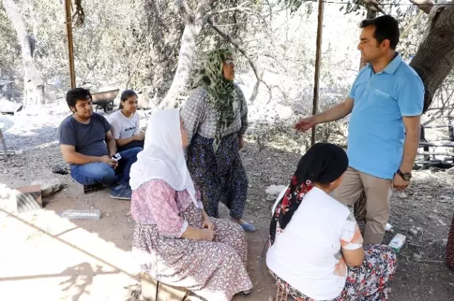 Orman Yangınından Geriye Kömürleşmiş Hayvan Ölüsü ve Yanan Evler Kaldı Orman Yangınından Geriye Kömürleşmiş Hayvan Ölüsü ve Yanan Evler Kaldı