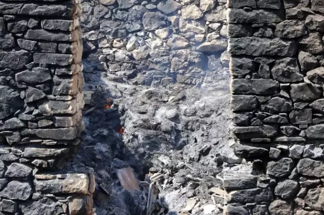 Orman Yangınından Geriye Kömürleşmiş Hayvan Ölüsü ve Yanan Evler Kaldı Orman Yangınından Geriye Kömürleşmiş Hayvan Ölüsü ve Yanan Evler Kaldı