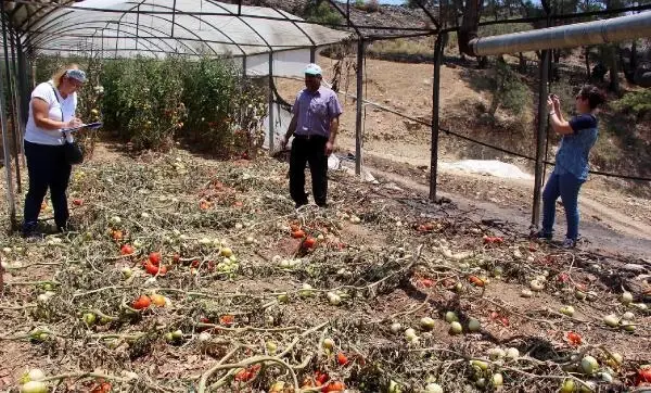 Kumluca'da Hasar Tespit Çalışmaları Başladı Kumluca'da Hasar Tespit Çalışmaları Başladı