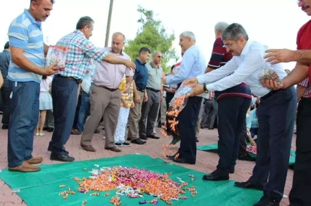 Kumluca'daki Yangın Bölgesinde Buruk Bayramlaşma Kumluca'daki Yangın Bölgesinde Buruk Bayramlaşma