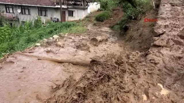 Rize Guneysu Da Heyelan Yollar Kapandi 3 Arac Hasar Gordu Haber