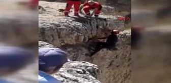 Sivas Kayalıklara Sıkışan Keçiyi Afad Kurtardı