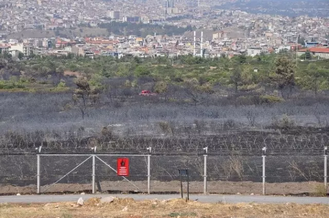 İzmir�deki Orman Yangınında Sabotaj İhtimali Araştırıyor Haber