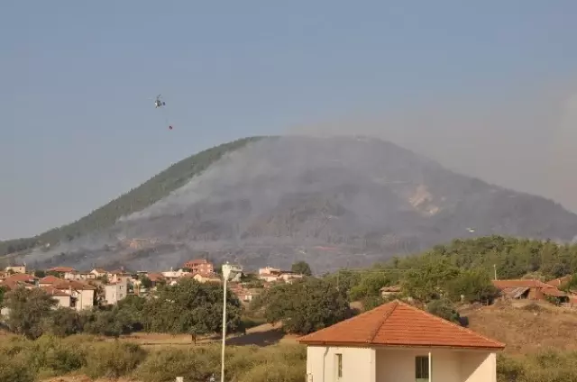 İzmir�deki Orman Yangını Devam Ediyor Haber
