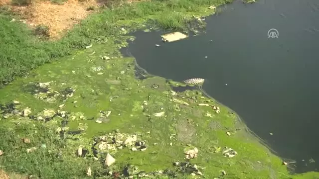 Üç Çocuğun Boğulduğu Gölette Çalışma Yapılmamasına Tepki Üç Çocuğun Boğulduğu Gölette Çalışma Yapılmamasına Tepki