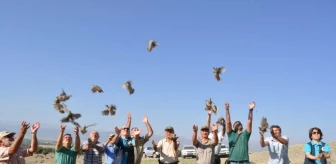 Seydişehir'de 400 Adet Keklik Doğaya Bırakıldı