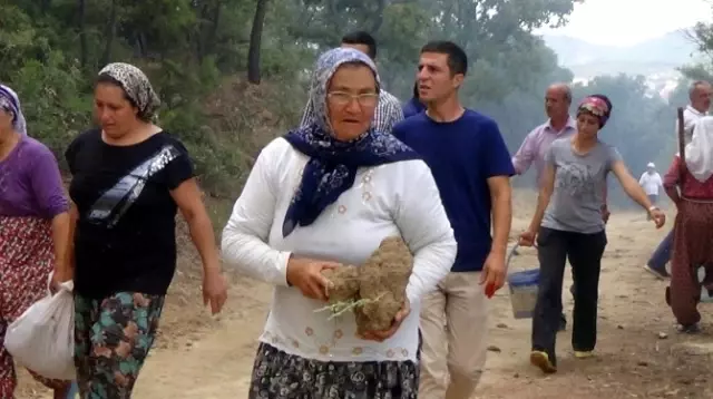 Uşak'ta Orman Yangını