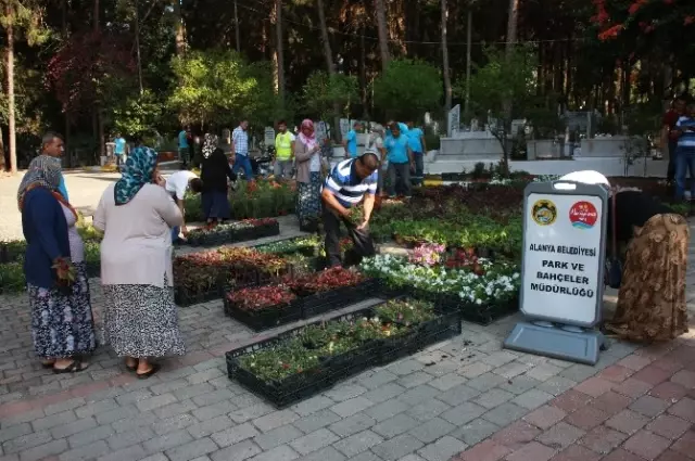 Alanya Belediyesi, Mezarlıklarda Çiçek Dağıtıyor Alanya Belediyesi, Mezarlıklarda Çiçek Dağıtıyor