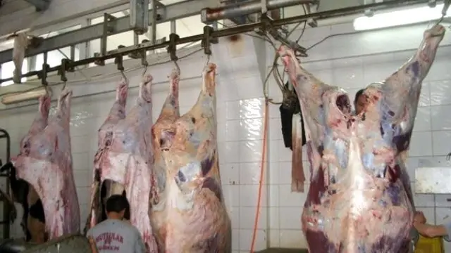 bu mezbahada kurban bekleme suresi 15 dakika haberler