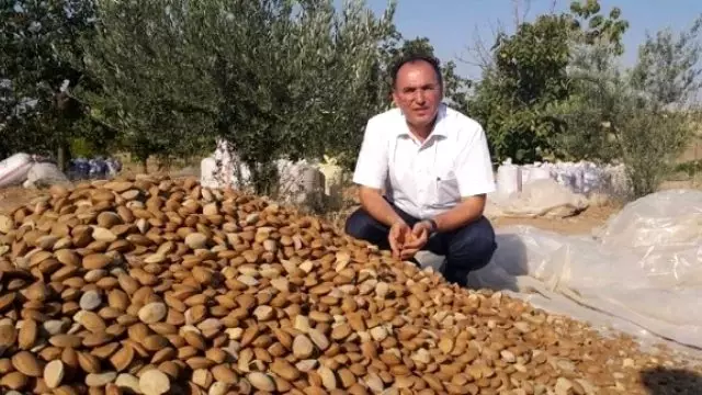 Kahta Da Badem Rekoltesi Yuzleri Gulduruyor Adiyaman