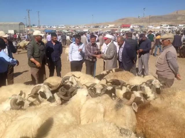 Van'da Kurban Bayramı Hazırlığı
