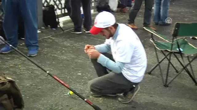 12. Tarihi Yarımada Balık Festivali 12. Tarihi Yarımada Balık Festivali