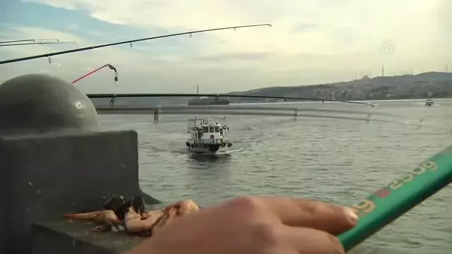 12. Tarihi Yarımada Balık Festivali 12. Tarihi Yarımada Balık Festivali