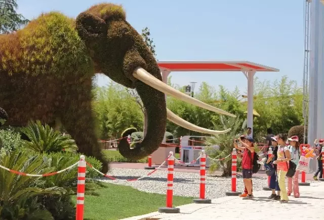 Expo 2016 Antalya'da Ziyaretçi Sayısı 3 Milyonu Aştı