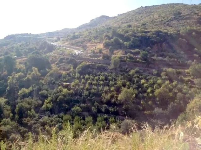 Yangına Giden İtfaiye Aracı Kaza Yaptı: 2 Ölü, 1 Yaralı Yangına Giden İtfaiye Aracı Kaza Yaptı: 2 Ölü, 1 Yaralı