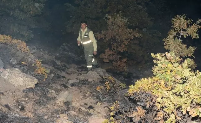 Aksaray'da Orman Yangını Aksaray'da Orman Yangını