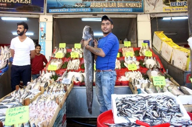 Gastronomi Kenti Gaziantep'te Balık, Kebabın Gölgesinde Kaldı Haberler