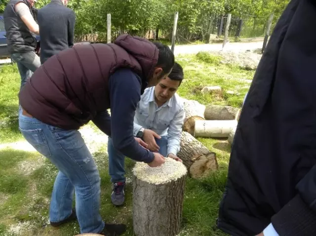 Fatsa'da İstiridye Mantarı Yetiştiriciliği Yaygınlaşıyor ...