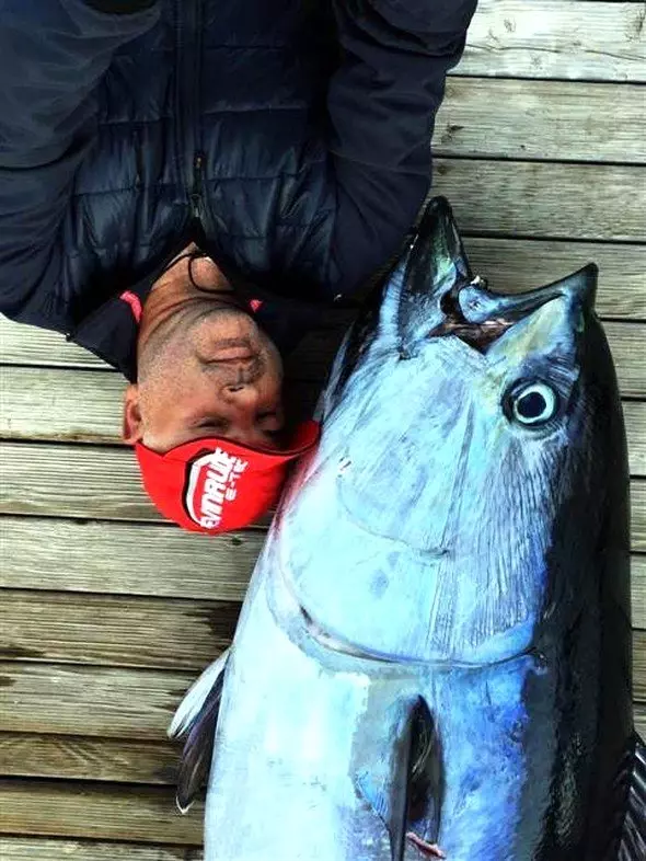 Oltaya 130 Kiloluk Orkinos Takıldı