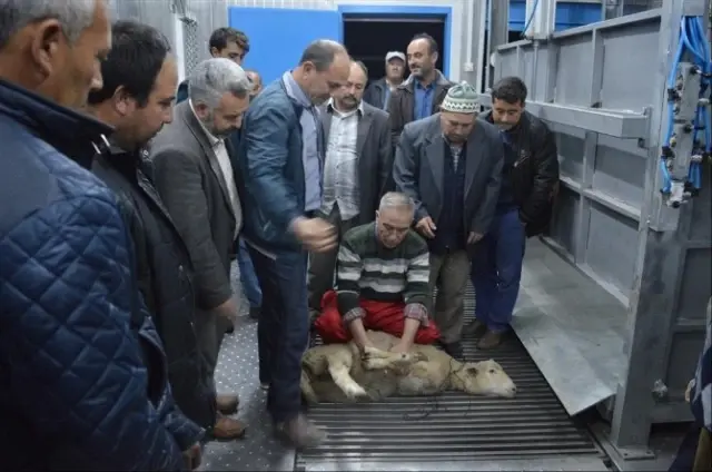 İvrindi'de Kurban Kesim Kursları İlgi Gördü İvrindi'de Kurban Kesim Kursları İlgi Gördü