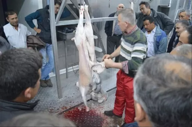 İvrindi'de Kurban Kesim Kursları İlgi Gördü İvrindi'de Kurban Kesim Kursları İlgi Gördü
