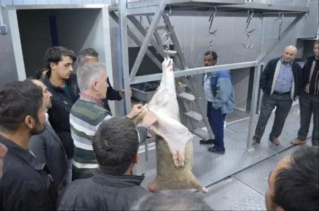 İvrindi'de Kurban Kesim Kursları İlgi Gördü İvrindi'de Kurban Kesim Kursları İlgi Gördü