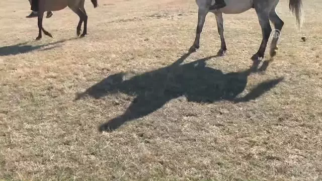 Cirit Sevgisi' Köy Halkını Sahaya Indirdi Cirit Sevgisi' Köy Halkını Sahaya Indirdi